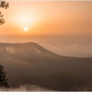 Meet your Posher, Alexa